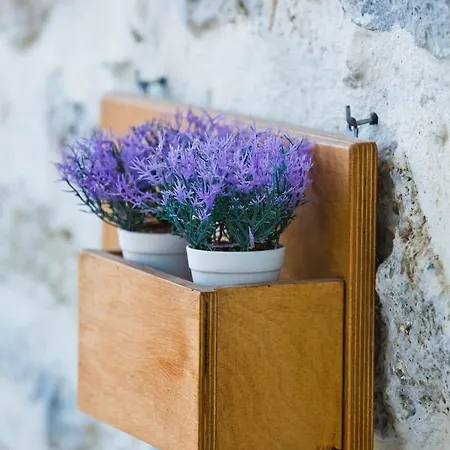 Paloma Luxury דירה Panormos (Kalymnos)